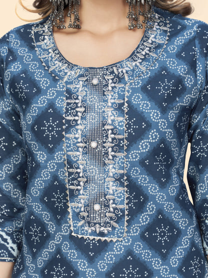 Blue Embroiderd Straight Cotton Kurta Set